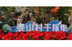 河南破冰教育集团北外校区西泰山红色团建：